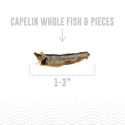 Icelandic+ - Capelin Whole Fish & Pieces Dog Treats 2.5 oz