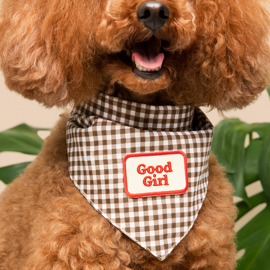 Scout's Honour - Good Girl iron-on patch for dogs