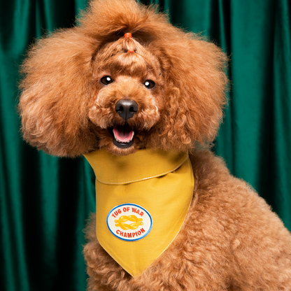 Scout's Honour - Tug of War Champion iron-on patch for dogs