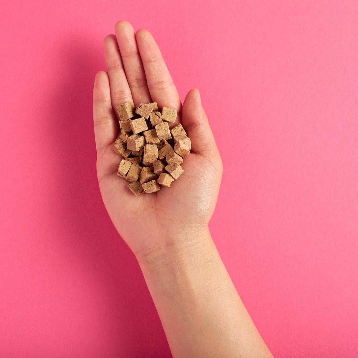 Snaggletooth: Lamb Liver - Freeze Dried Raw Teeny Tiny Treats