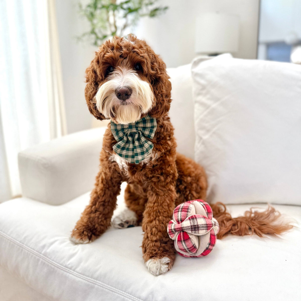 Lambwolf Collective - FLANNEL MONTI // ENRICHMENT DOG TOY // HOLIDAY
