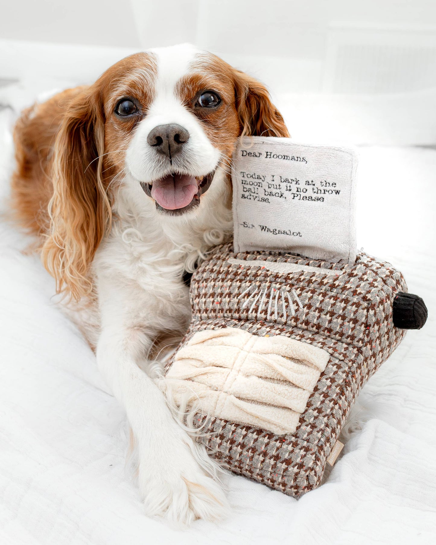 Lambwolf Collective: Typrewriter - Enrichment Dog Toy