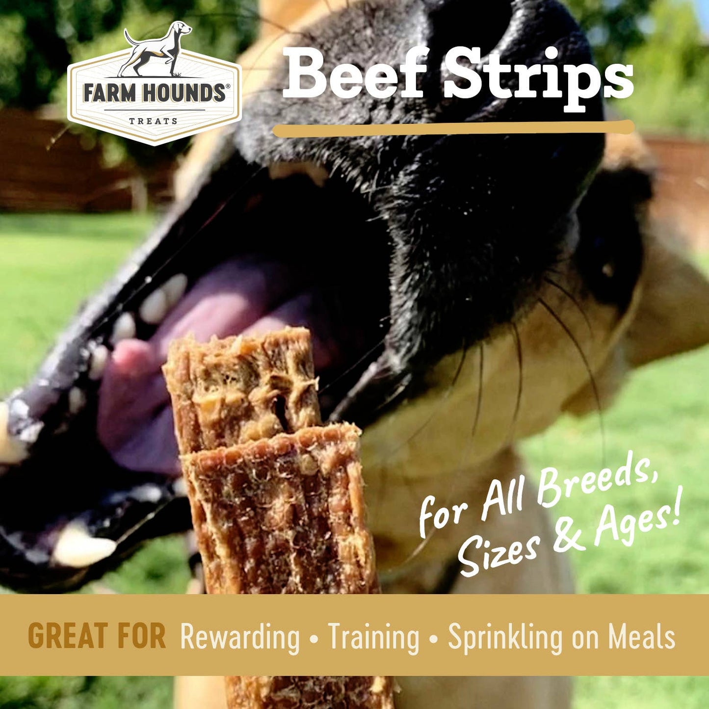 Farm Hounds - Beef Strips - All-Natural Dog Treats - 4.5 oz: 4.5oz