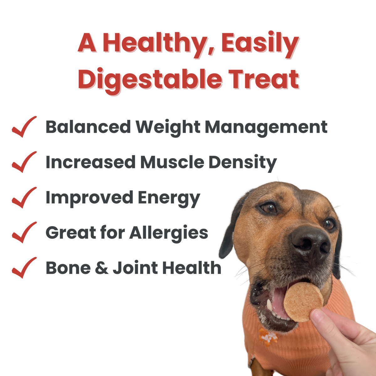 Farm To Pet - Walleye Fish Chips Dog Treats – Made in USA: Standard 4oz