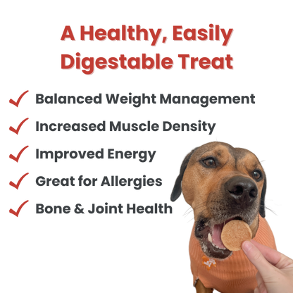 Farm To Pet - Walleye Fish Chips Dog Treats – Made in USA: Standard 4oz
