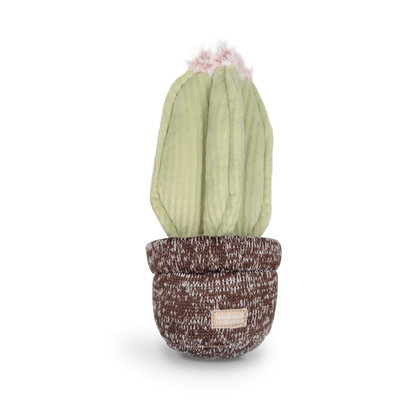 Lambwolf Collective: CACTUS