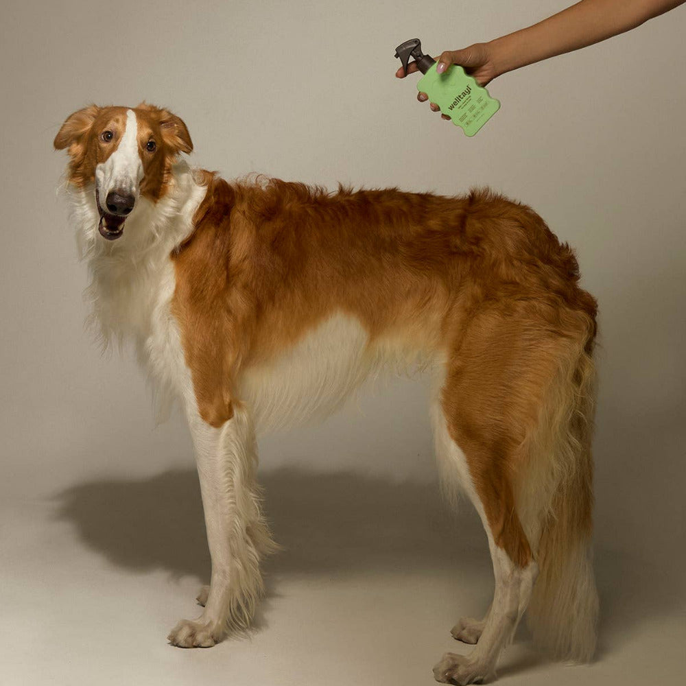 Well tayl - Dog Skin + Coat Spray (Cat-Safe)