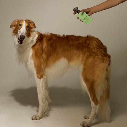 Well tayl - Dog Skin + Coat Spray (Cat-Safe)