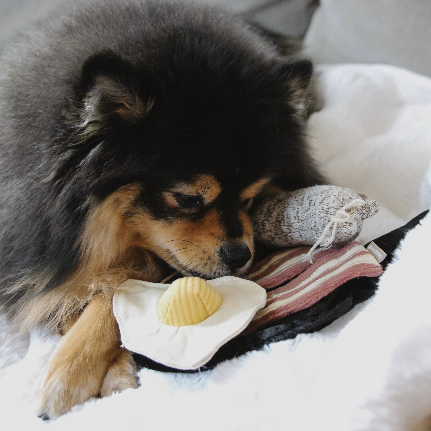 Lambwolf Collective - Bfast Set // ENRICHMENT DOG TOY // SNUFFLE TOY SET