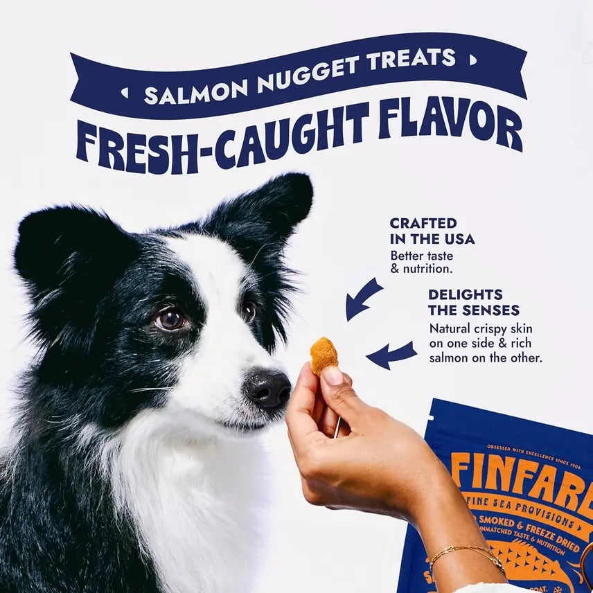 Finfare - Freeze-Dried Salmon Nuggets for Dogs, 4oz