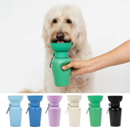 Dog Travel Water Bottle - 20oz Flip : Black