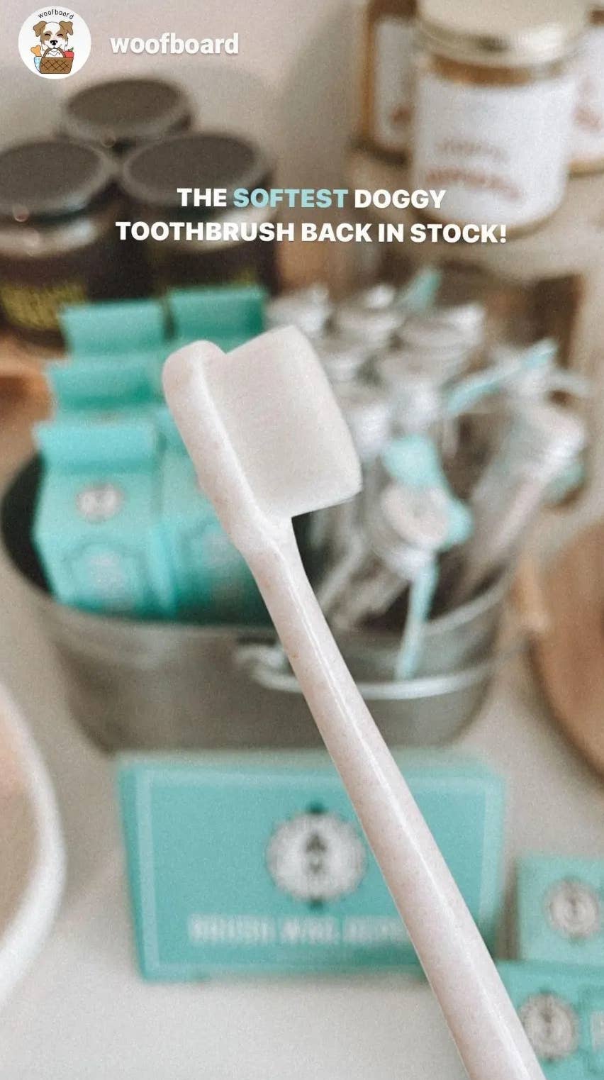 Wag & Bright Supply Co. : Puppy Polisher Eco Toothbrush - (Medium)