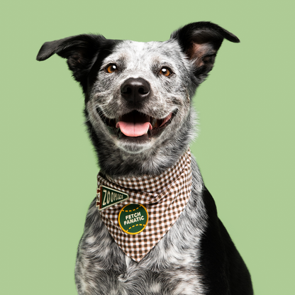 Scout's Honour - Fetch Fanatic iron- on patch for dogs