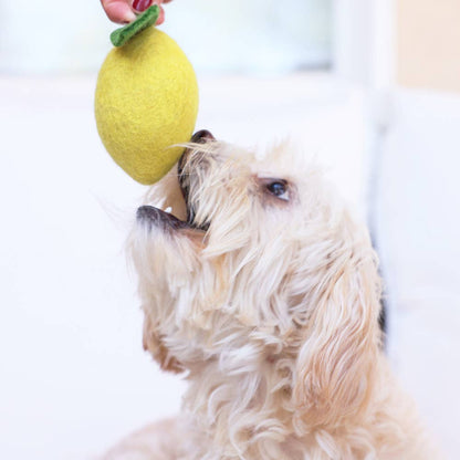 Modernbeast - LEMON Wool Dog & Cat Toy: Large