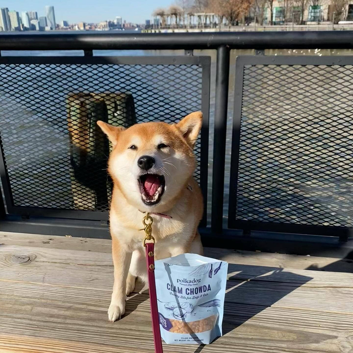 Polkadog - Clam Chowda Training Bits Crunchy Dog & Cat Treats