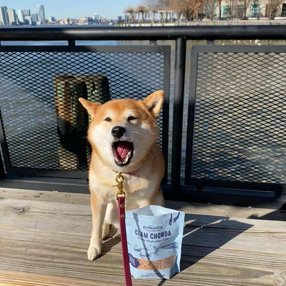 Polkadog - Clam Chowda Training Bits Crunchy Dog & Cat Treats