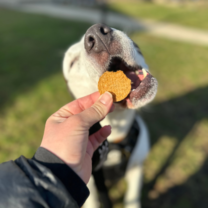 Farm To Pet - Walleye Fish Chips Dog Treats – Made in USA: Standard 4oz