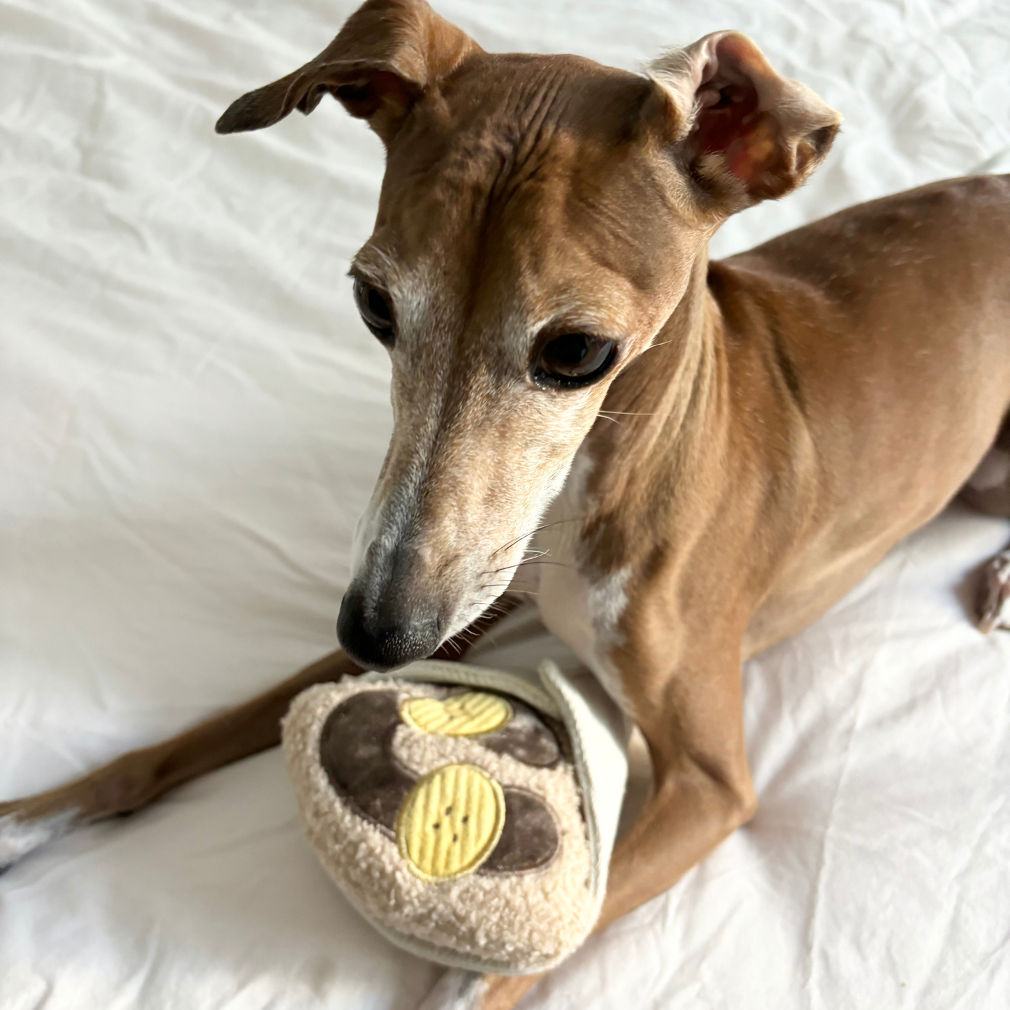 Lambwolf Collective - CREPE // ENRICHMENT DOG TOY