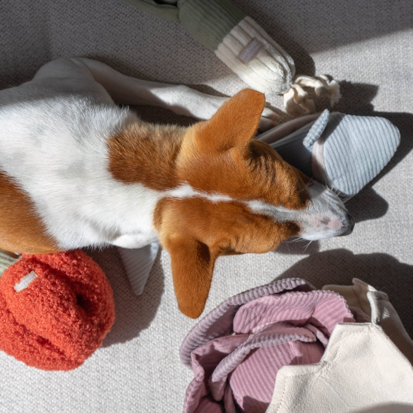 Lambwolf Collective: Pepper/ Enrichment Toy /Snuffle Toy