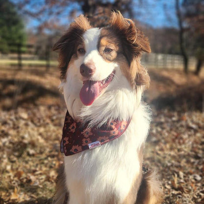 Square Dog Bandana - Jane