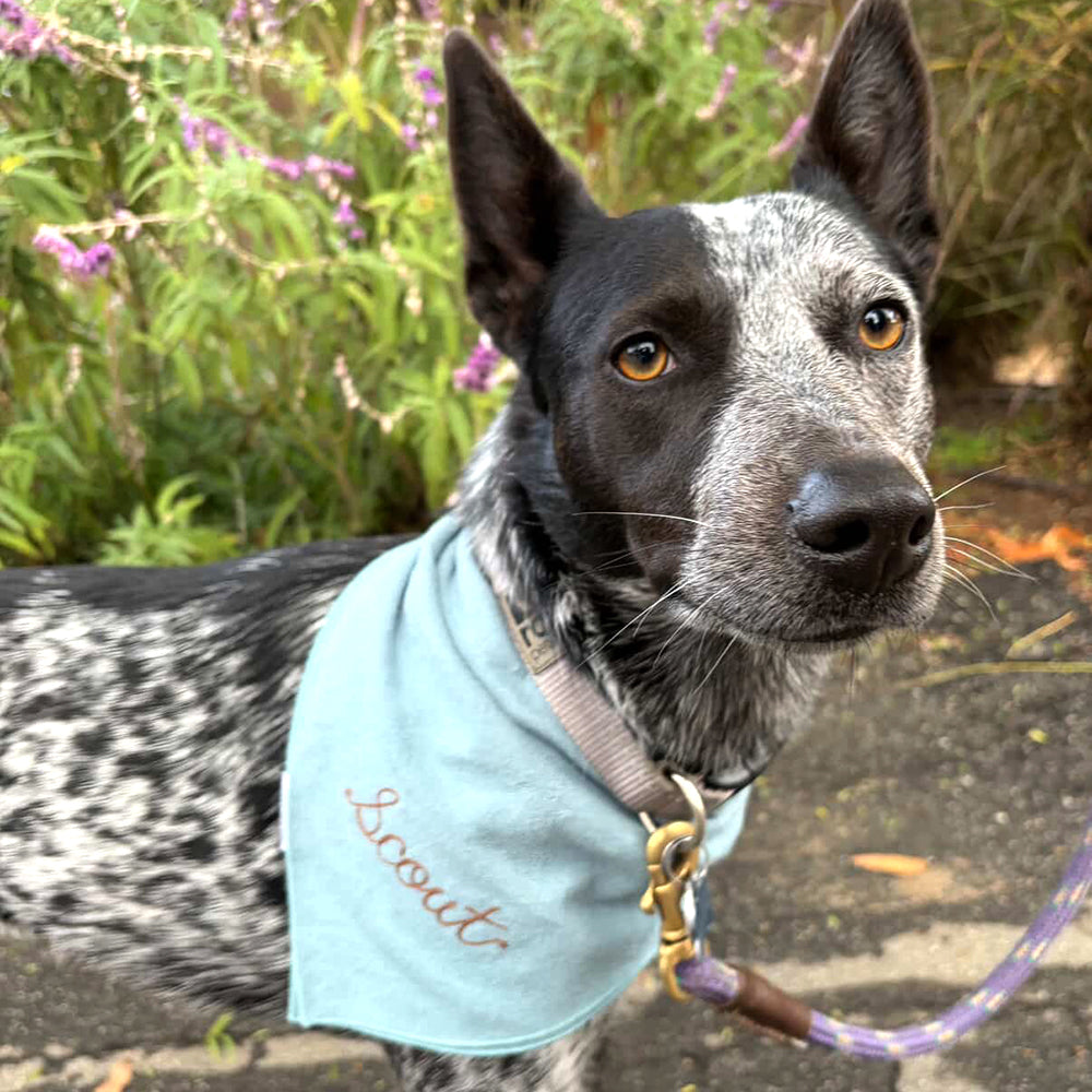 Square Dog Bandana - Sleepy Blue