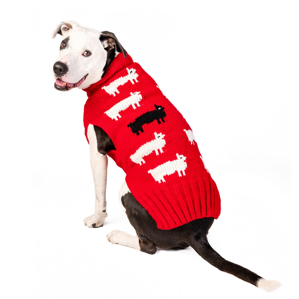 Chilly Dog Sweater - Black Sheep