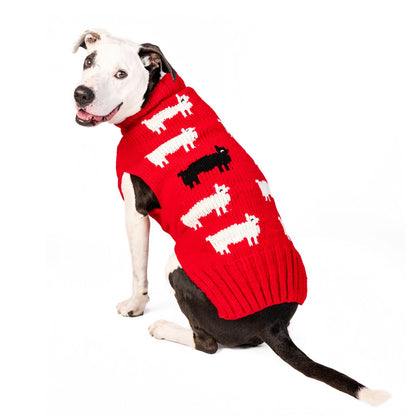 Chilly Dog Sweater - Black Sheep