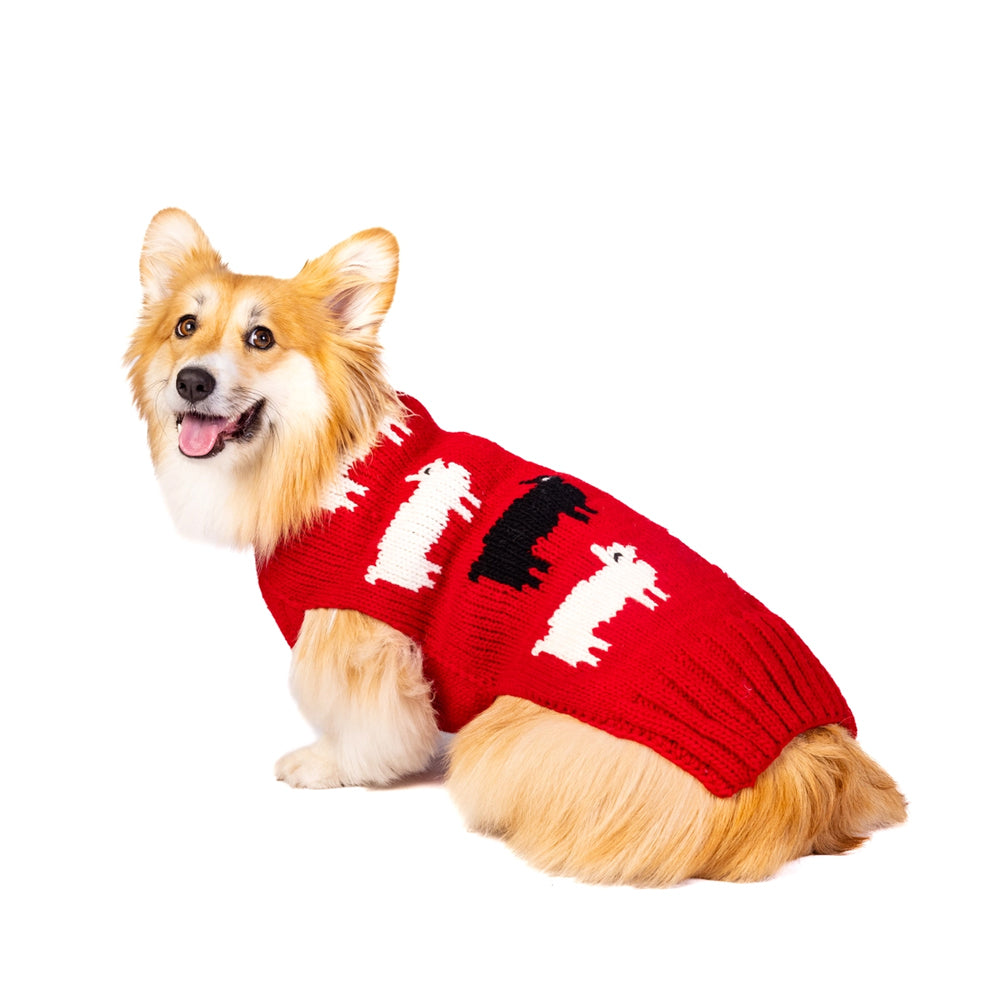 Chilly Dog Sweater - Black Sheep