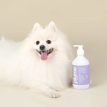 Plume Care - Natural, Soothing & Nourishing Pet Shampoo for Sensitive Skin - Lavender