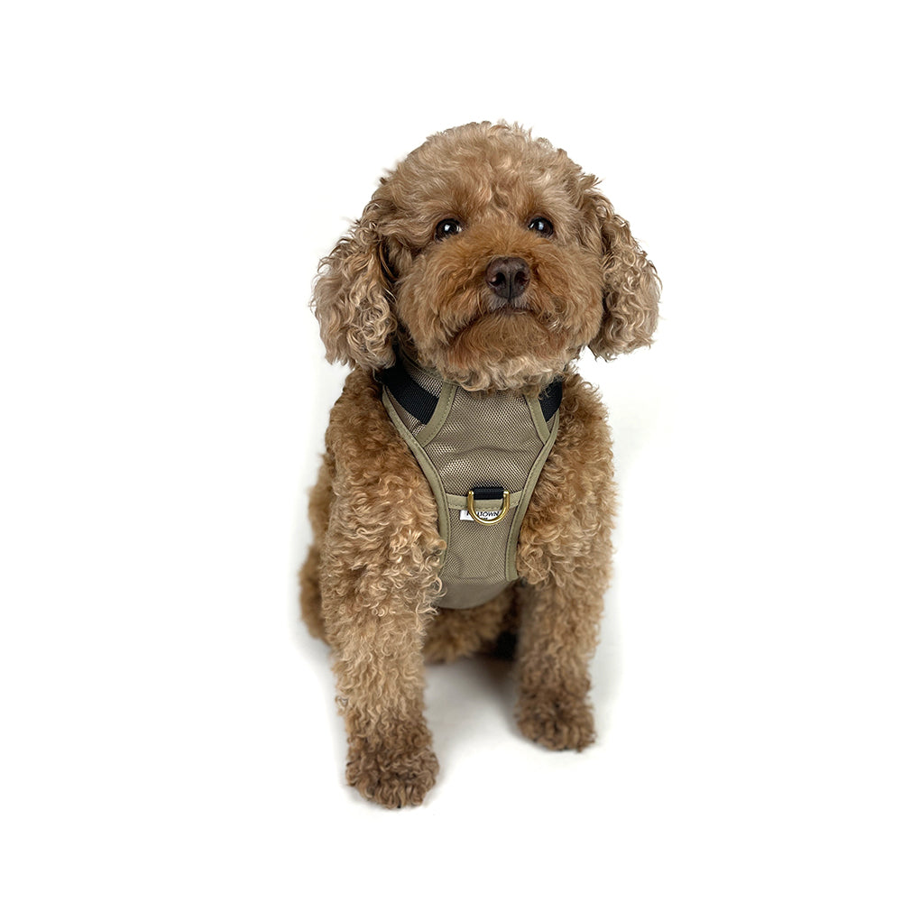 Adjustable Dog Harness - Beige