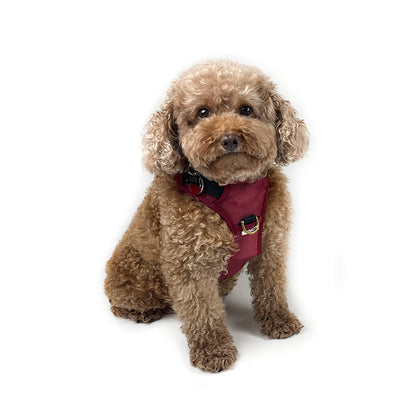 Adjustable Dog Harness - Maroon