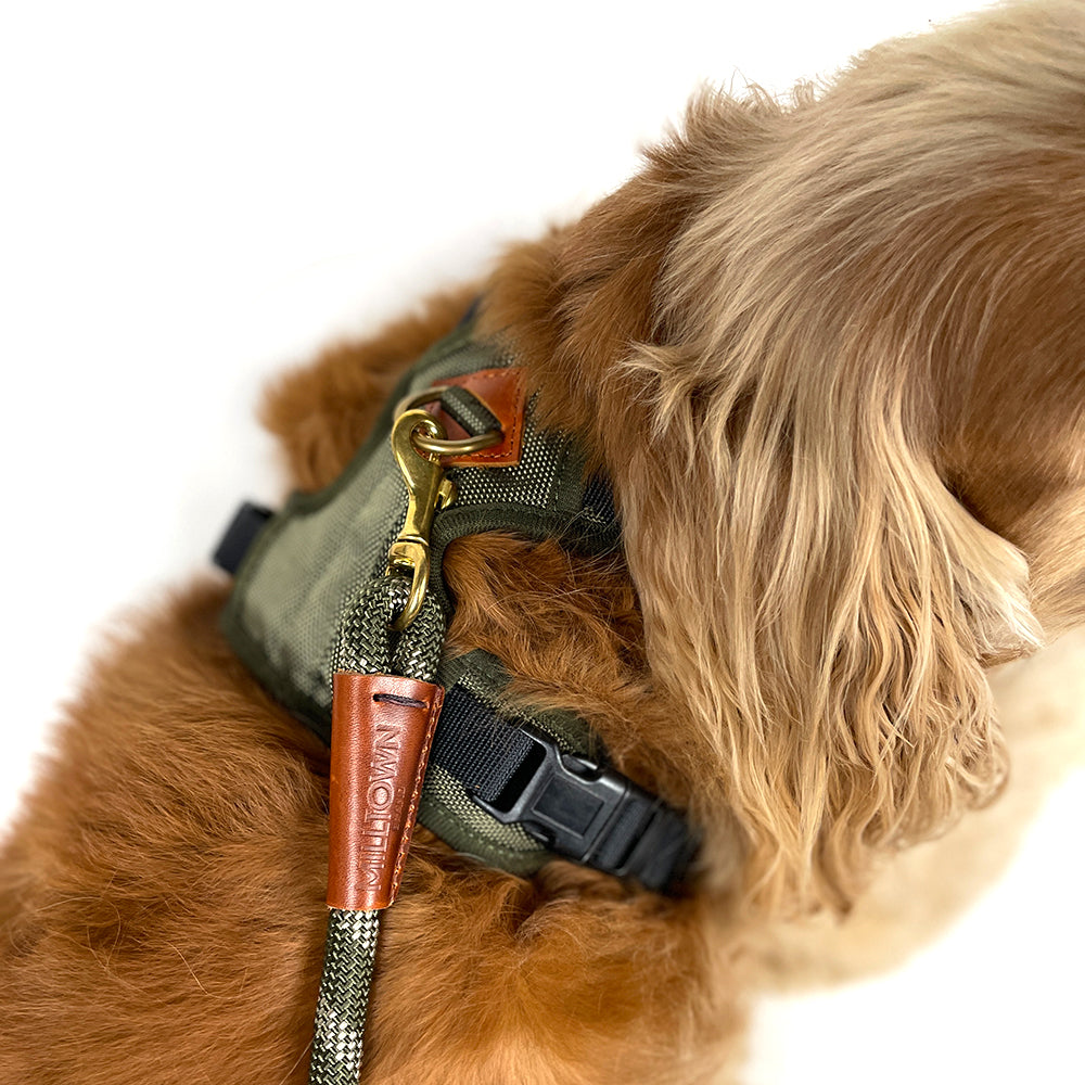 Adjustable puppy outlet harness