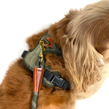 Adjustable Dog Harness - Olive