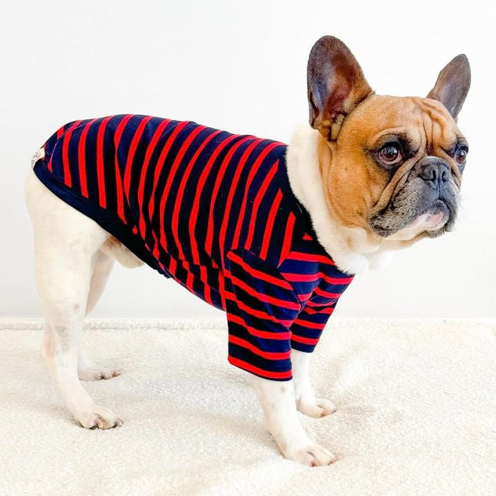 French Stripe Dog T-shirts - Navy & Red