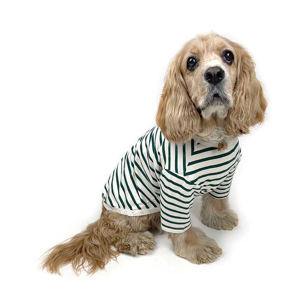 French Stripe Dog T-shirts - Cream & Pine