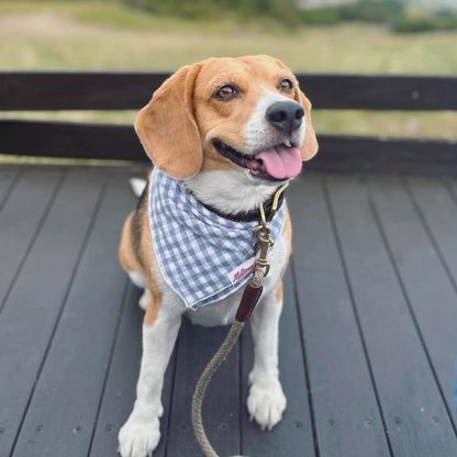 Square Dog Bandana - Picknic Blue Gingham