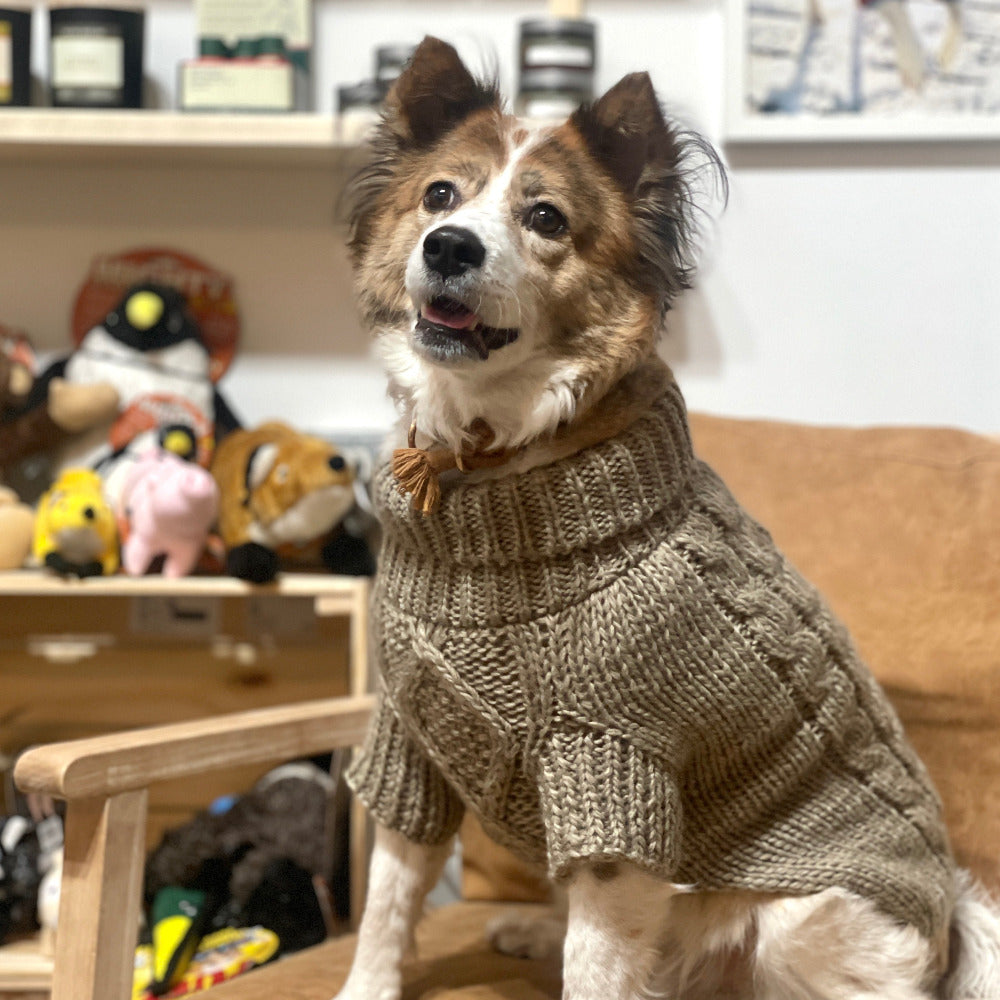 Fisherman Cable Knit Dog Sweater - Beige