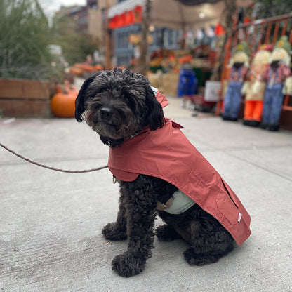 Dog Reversible Rain Coat - Cinnamon-Mint