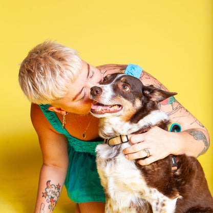 Pawtrait Pop Up – Dog Photoshoot Session | Brooklyn NYC