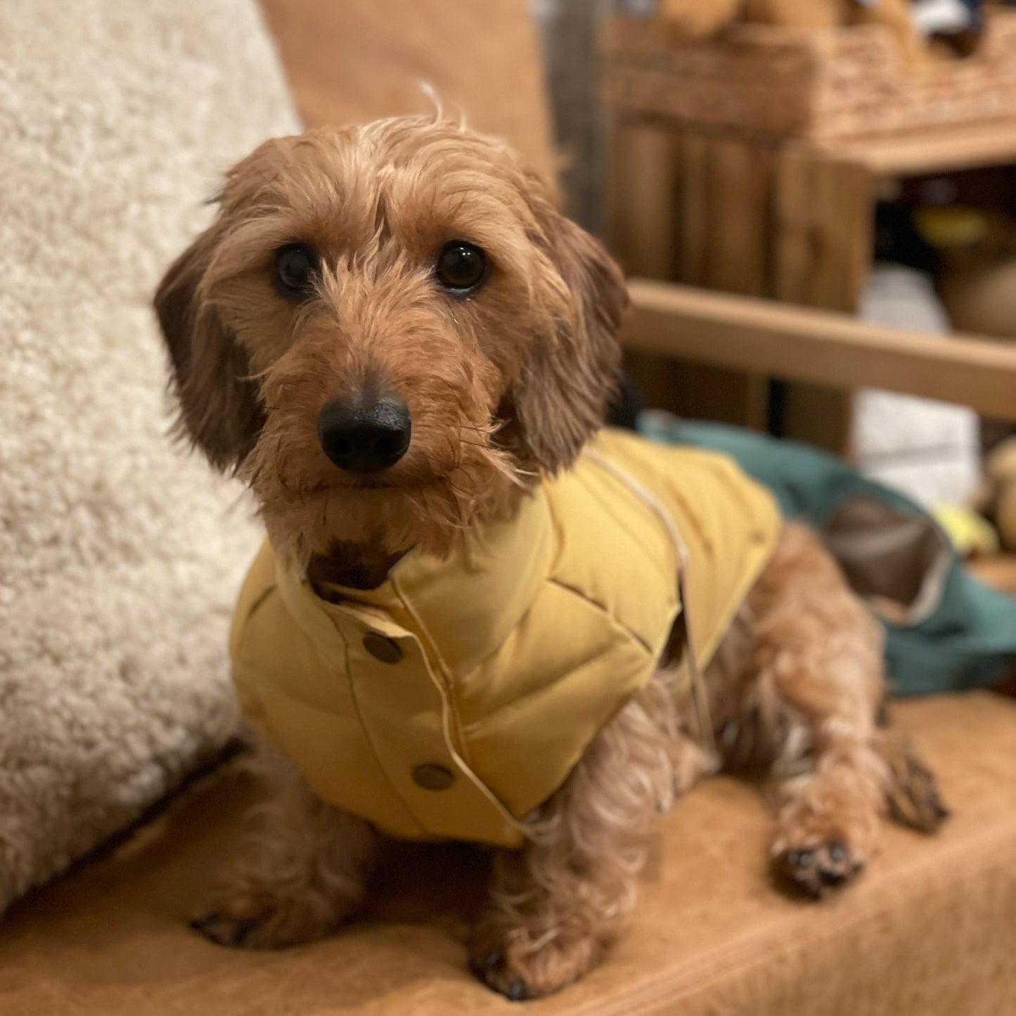 Dog Puffer Vest Jacket - Mustard Yellow