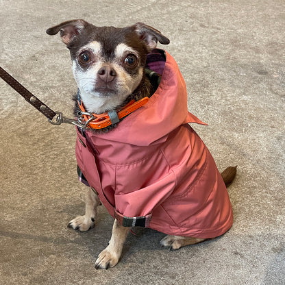 Dog Rain Jacket - Dusty Rose