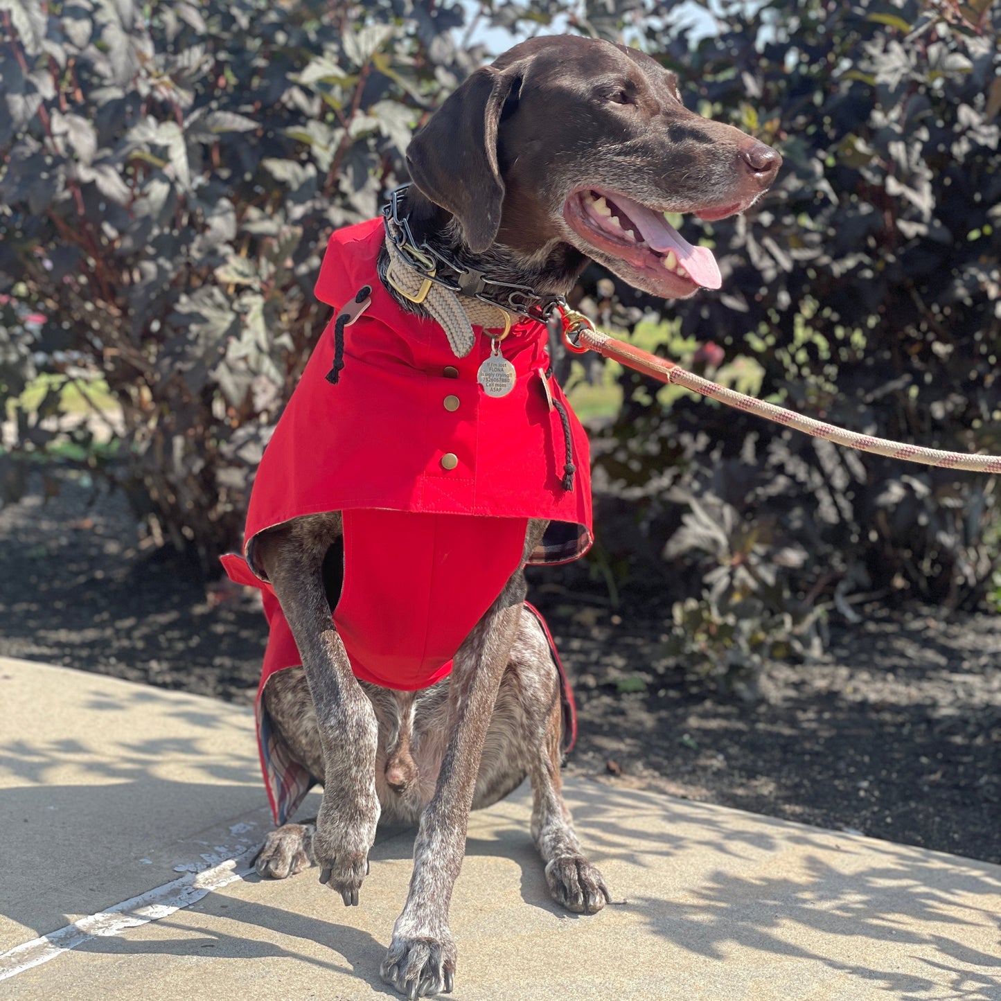 Dog Rain Poncho - Apple Red