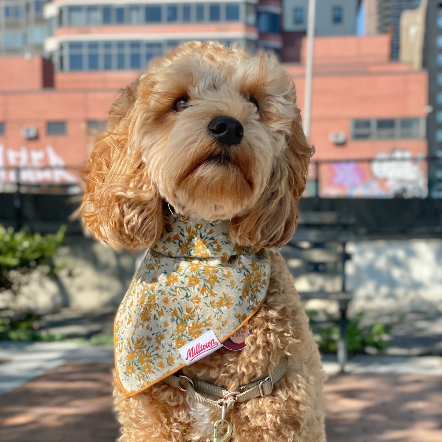 Square Dog Bandana - Autumn Meadow