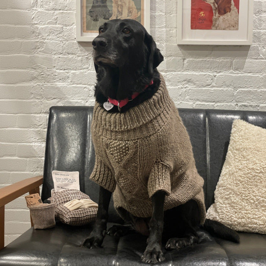 Fisherman Cable Knit Dog Sweater - Beige