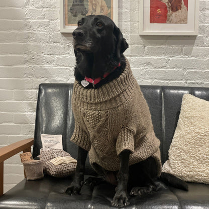 Fisherman Cable Knit Dog Sweater - Beige