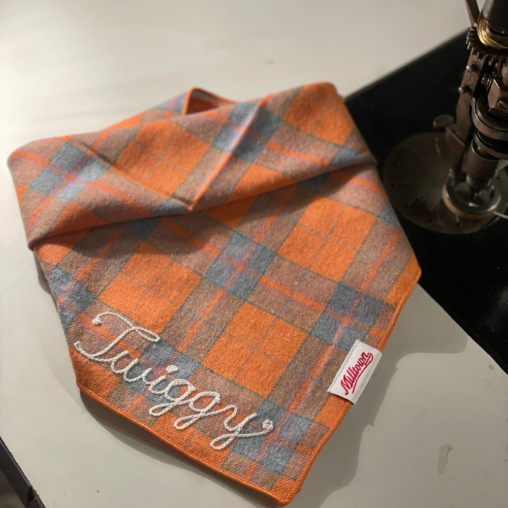 Square Dog Bandana - Sunday Brunch