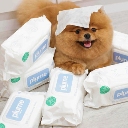 Plume Care - Gentle Cleansing Wet Wipes for Dogs & Cats - Sensitive Skin Approved