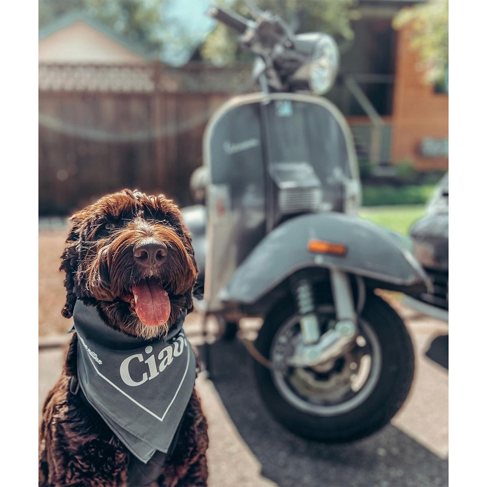 Dog Bandana - Hello!