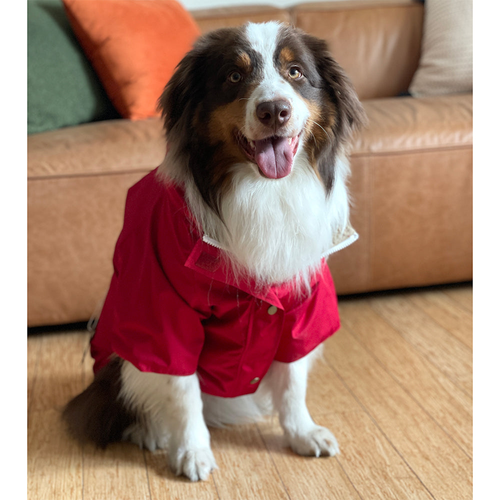 Dog Rain Jacket - Red