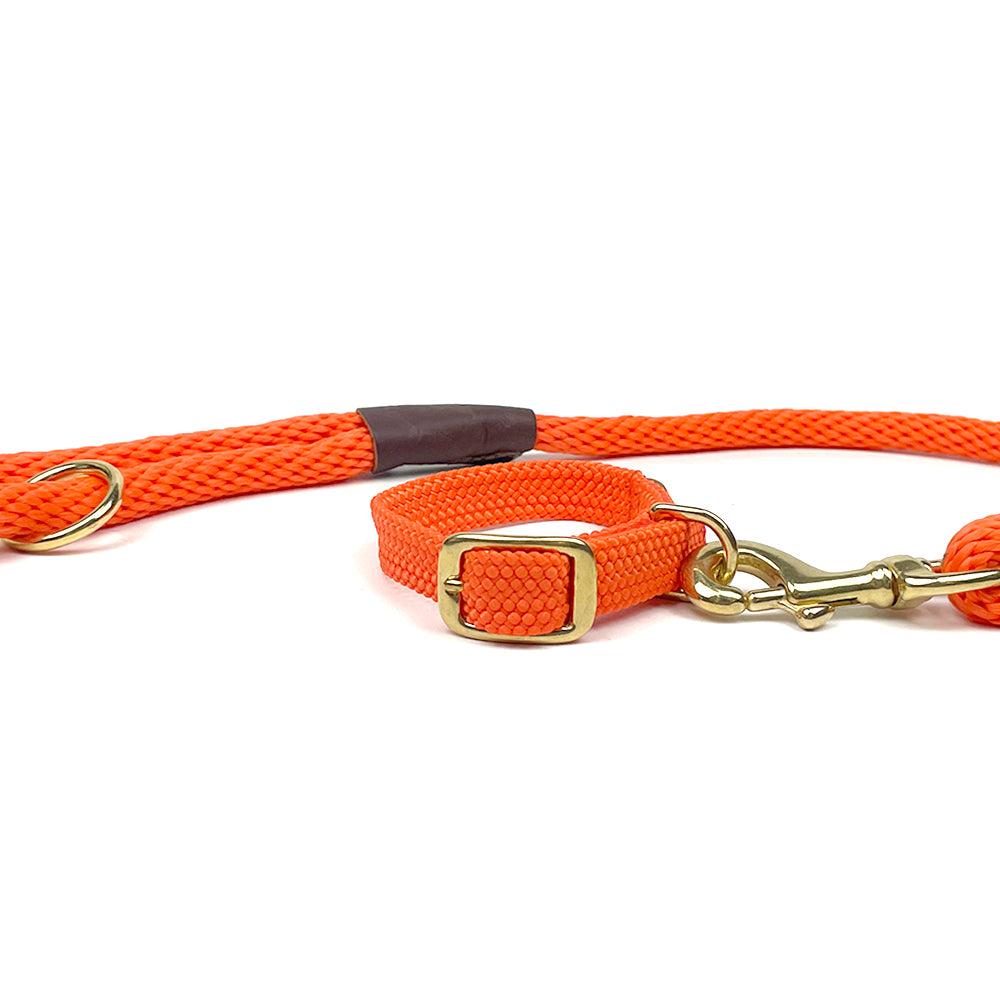 Mendota Double Braid Dog Collar - Orange